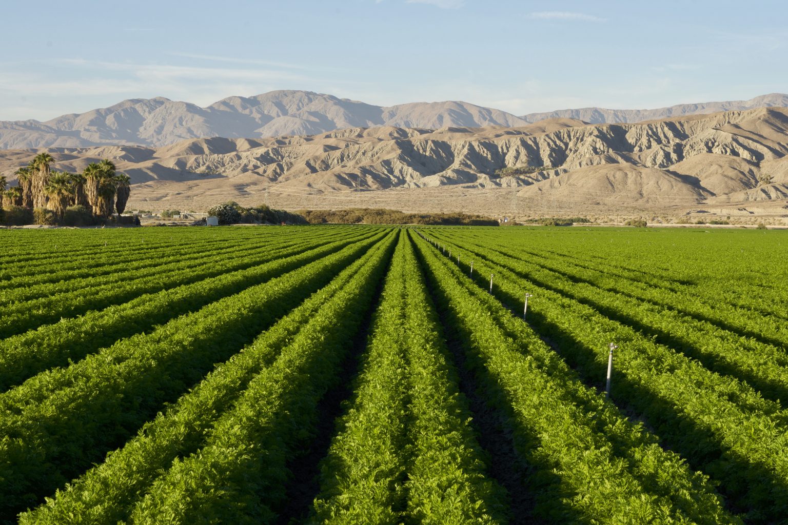 Aerial view of Imperial Valley agriculture with mountains in background